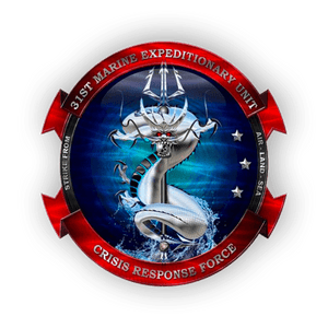 Custom Military Unit Logo Metal Sign